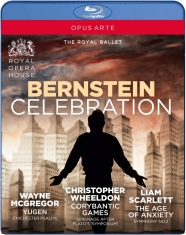 Bernstein Leonard - Bernstein Celebration (Blu-Ray)