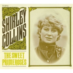 Collins Shirley - Sweet Primeroses