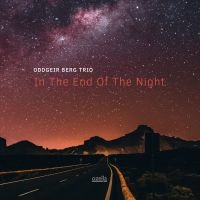 Berg Oddgeir (Trio) - In The End Of The Night