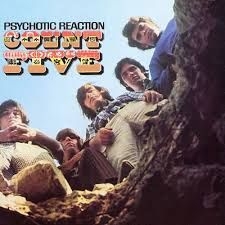 Count Five - Psychotic Reaction