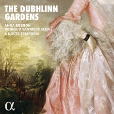 Various - The Dubhlinn Gardens