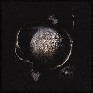 Enthroned - Cold Black Suns (Black Vinyl)