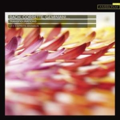 Les Esprits Animaux - Transfigurations