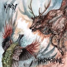 Myteri / Procrastinate - Split