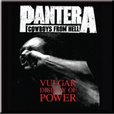 Pantera - Fridge Magnet: Vulgar