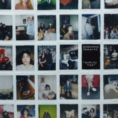 Screaming Females - Singles Too