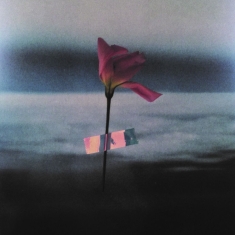 Samson Will - Paralanguage (Clear Vinyl)