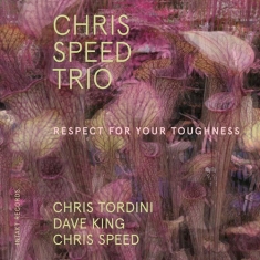 Chris Speed Trio - Respect For Your Toughness