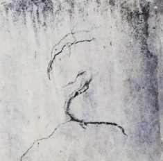 Lunatic Soul - Impressions