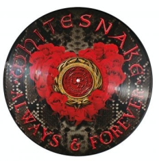 Whitesnake - Always & Forever (Ltd Ed Picture Di
