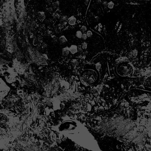 Primitive Man And Unearthly Trance - Split