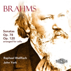Brahms Johannes - Sonatas, Opp. 78 & 120 (Arranged Fo