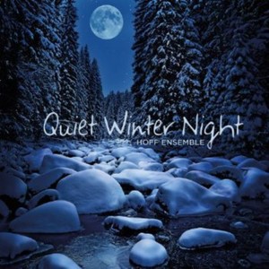 Blandade Artister - Quiet Winter Night