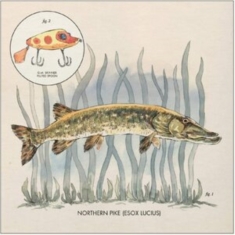 Lowe Nick - Lay It On Me