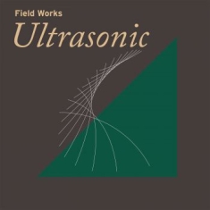 Blandade Artister - Field Works: Ultrasonic