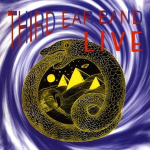 Third Ear Band - Live