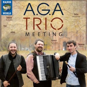 A.G.A. Trio - Meeting
