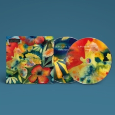 Lenker Adrianne - Songs And Instrumentals