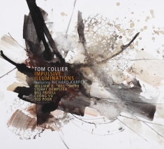 Tom Collier - Impulsive Illuminations