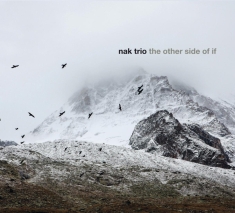 Trio Nak - Other Side Of If