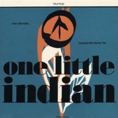V/A - One Little Indian Vol.2