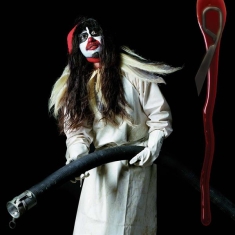 Bjork - Drawing Restraint 9