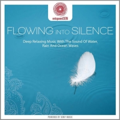 Buchert Jens - Entspanntsein - Flowing Into Silence (Deep Relaxing Music With The Sound Of Water, Rain And Ocean Wa