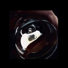 Forest Management - After Dark