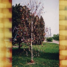 Kraus - A Golden Brain