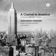 Alexander Fiterstein - A Clarinet In America