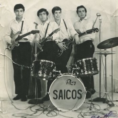 Los Saicos - Demolicion (7