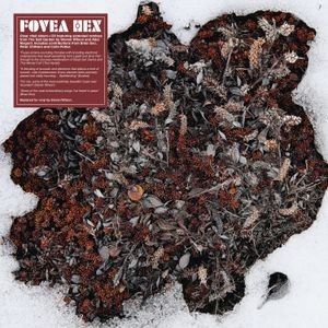 Fovea Hex - SALT GARDEN - LANDSCAPED (LP+CD)