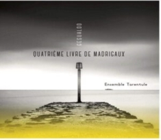 Ensemble Tarentule - Gesualdo: Quatrieme Livre De Madrigaux