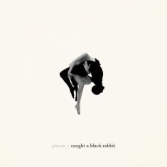 Phoria - Caught A Black Rabbit