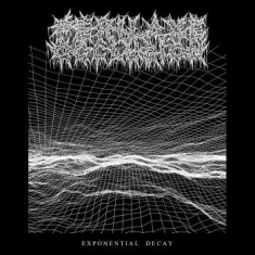 Perilaxe Occlusion - Exponential Decay