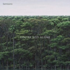 Semisonic - You're Not Alone