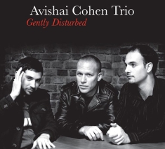 Avishai Cohen Trio - Gently Disturbed