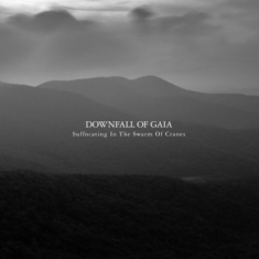 Downfall Of Gaia - Suffocating In The Swarm Of Cr