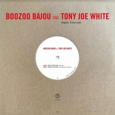 Boozoo Bajou & Tony Joe White - Aspen Colorado (10