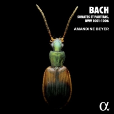 Bach Johann Sebastian - 6 Violin Sonatas And Partitas, Bwv