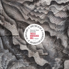 Hypnotic Brass Ensemble - This Is A Mindfulness Drill. (Opaqu