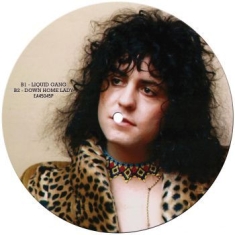 T.Rex - Groover (Picture Disc)
