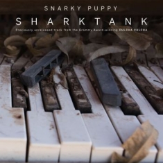 Snarky Puppy - Shark Tank (10