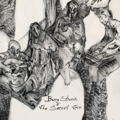 Stevens Becca - Becca Stevens & The Secret Trio