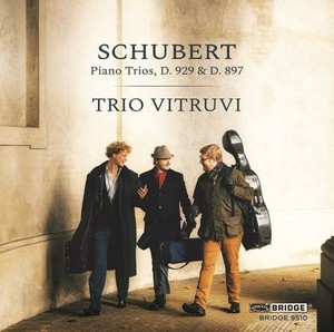Schubert F. - Piano Trios D929 & D897