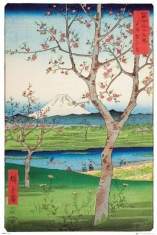 HIROSHIGE - The Outskirts of koshigaya Poster in the group CDON - Exporterade Artiklar_Manuellt / Merch_CDON_exporterade at Bengans Skivbutik AB (4068953)