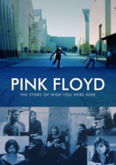 Pink Floyd - Story of wish you were here