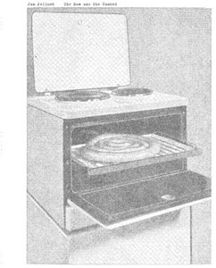 Jelinek Jan - Raw And The Cooked
