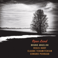 Angelini Bruno - Open Land