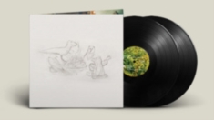 Big Thief - Dragon New Warm Mountain I Believe